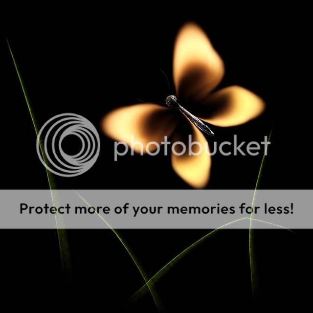 Burnt_Matchstick_Art_by_Stanislav_Aristov_011.jpg