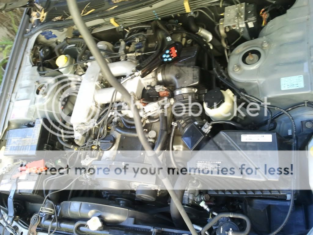 Posted Image
