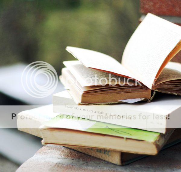 photo books__by_extrasist0le.jpg
