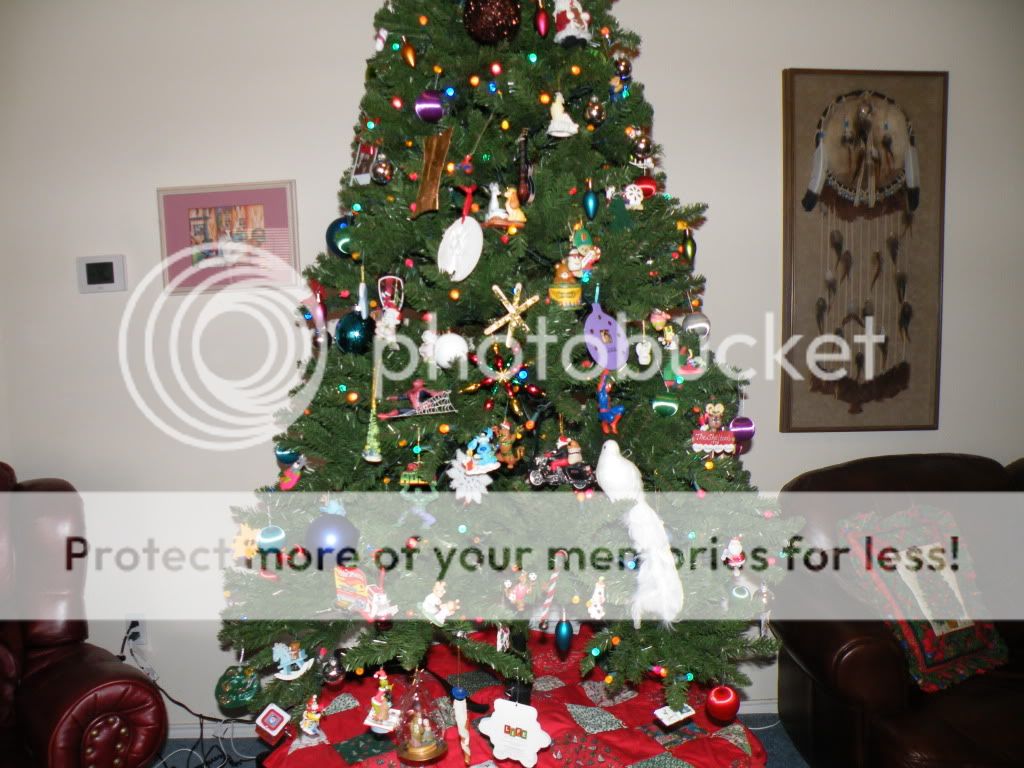 DSCF2372.jpg