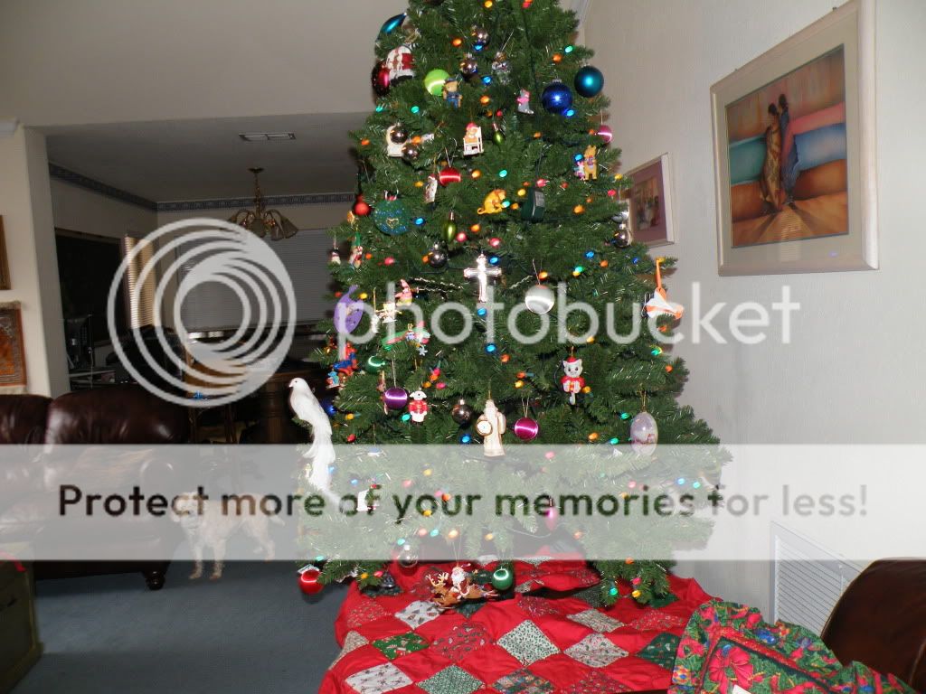 DSCF2373.jpg