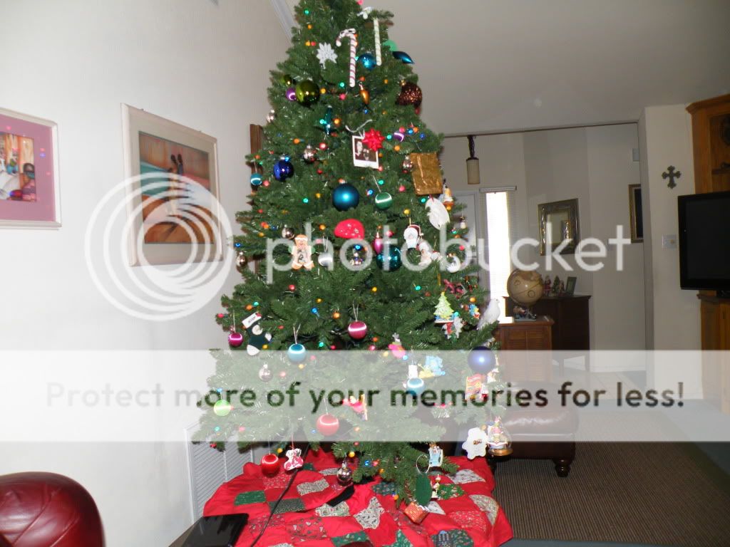 DSCF2374.jpg