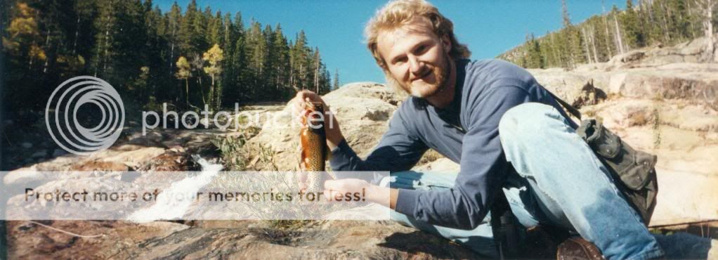 Lake Fork Trophy Lures Ring-Fry - Chartreuse Pepper 3.75in Soft Plastic Baits (12 Count)